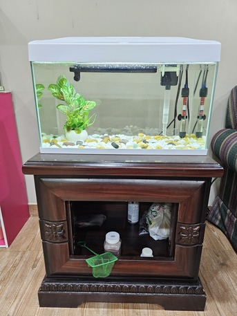 Manama, Pet Supplies, BHD 50,  Aquarium For Sale