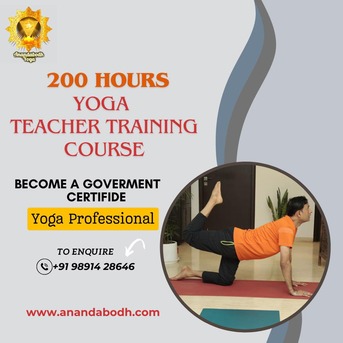 Haryana, Health, Start Yoga Therapy Teacher Training Course Today