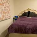 King Size Bed