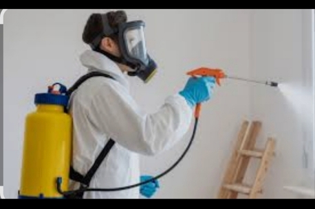 Riyadh, Pest Control, Professional Villa & Apartment And Office Pest Control&ndash;Expert