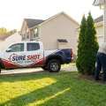 Ant Control Service Virginia For Pest-Free Living