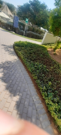 Riyadh, Job Seekers, If Anyone Needs A Gardener/landscaping Worker Contact Me.
