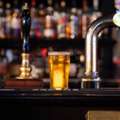 Best Bar In Chandigarh - Purple Mango Restaurant & Bar