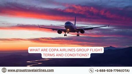 New York, Travel, What Are Copa Airlines Group Flight Terms And Conditions?