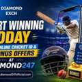 Start Winning Today With Online Cricket ID & Bonus Offers At Diamond247