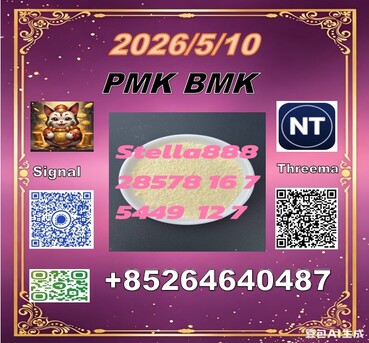 Hong Kong, Materials, CNY 100,  /////cas28578-16-7 PM.K Ethyl Glycidate And CAS5449-12-7 BM.K