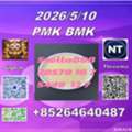 CNY 100,  Best Service P.M.K 28578-16-7 And B.MK 5449-12-7/49851-31-2