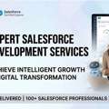 Top Salesforce Development Company For Business Growth