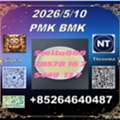 CNY 100, Bulk Stock To Ship Cas28578-16-7 P-MK And CAS5449-12-7 B-MK/ 49851-31-2