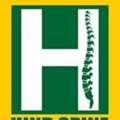 Best Spine Doctor In Bhopal &mdash; Hind Spine Clinic