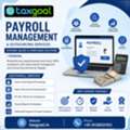 Payroll Management & Outsourcing Services &ndash; Efficient Salary Solutions By Taxgoal