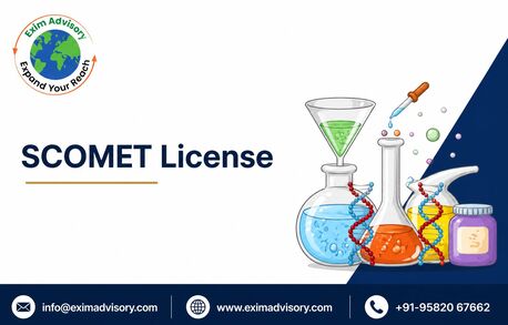 Noida, Legal, Exim Advisory Expert Support For SCOMET License