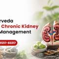 Chronic Kidney Disease Treatment With Ayurveda | Book Consultation