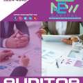 Auditor Financial Statement