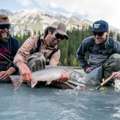 Enjoy The Best Fishing And Boating In Golden BC | Kinbasket Lake Resort