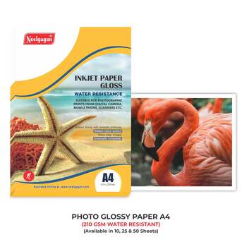 New Delhi, Businesses For Sale, Why Neelgagan Glossy Paper Is The Perfect Choice For Premium Printing