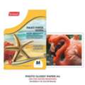 Why Neelgagan Glossy Paper Is The Perfect Choice For Premium Printing