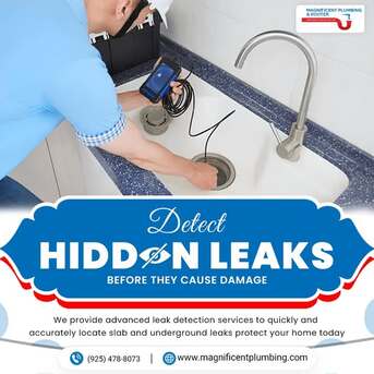 New York, Business, Trusted Plumber In Pleasanton, CA &ndash; Fast & Reliable Plumbing Services