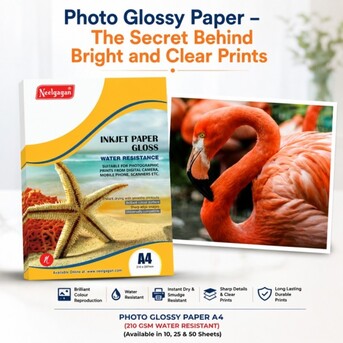 New Delhi, Legal, Photo Glossy Paper &ndash; The Secret Behind Bright And Clear Prints