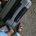 I Want To Buy Travelling Bags