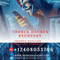How IForce Hacker Recovery Helped Me Achieve My Dream Of Studying At The University Of Man