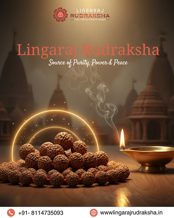 Kolkata, Jewelry, Lingaraj Rudraksha &ndash; Best Rudraksha Shop In Kolkata