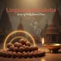 Lingaraj Rudraksha &ndash; Best Rudraksha Shop In Kolkata