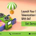 USD 5000, Launch Asset Backed Platforms With RWA Tokenization Development