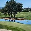 Keep Every Green Fresh With Golf Course Irrigation Repair