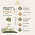 Nervous System Ayurvedic Care | Neurological Wellness & Function Therapy Kerala