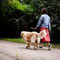 Dog Walkers In Delhi
