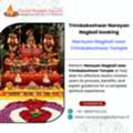 Trimbakeshwar Narayan Nagbali Booking By Rakesh Guruji
