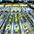 Best Nutraceutical Packaging Solutions For Brands