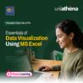 Excel Data Visualization Course With Certificate | UniAthena