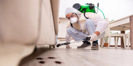 Hyderabad, Pest Control, Best Pest Control Services In Hyderabad &ndash; AJL Pest Control