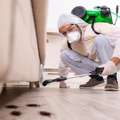 Best Pest Control Services In Hyderabad &ndash; AJL Pest Control