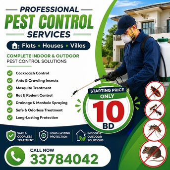 Manama, Pest Control, Pest Control Services Special Offer Just Only 10 BHD