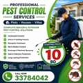 Pest Control Services Special Offer Just Only 10 BHD