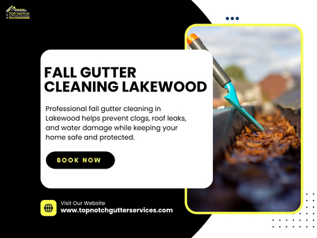 New York, Cleaning, Trusted Fall Gutter Cleaning Services In Lakewood To Protect Homes From Seasonal Water Dam