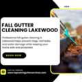 Trusted Fall Gutter Cleaning Services In Lakewood To Protect Homes From Seasonal Water Dam