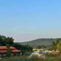 Best Resort In Bandhavgarh For Couples