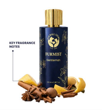 Gurgaon, Pet Sitting, Because Your Dog&rsquo;s Presence Deserves A Signature Scent