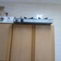SAR 350,  4 Burner Electric Stove
