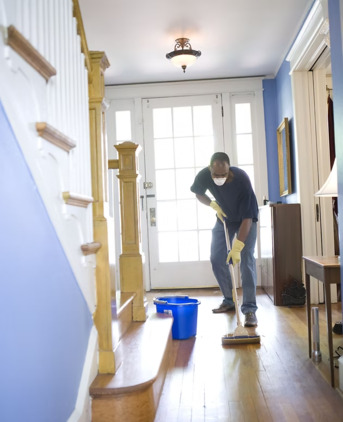 New York, Business, Tidy Bear Cleaning