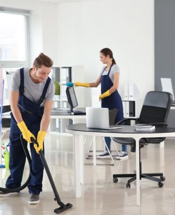 New York, Business, Tidy Bear Cleaning