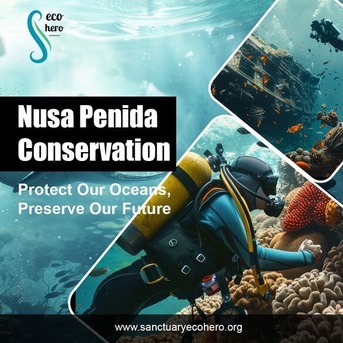 Bali, Training, Nusa Penida Conservation