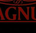 Curtain Tracks Wholesaler In India - Magnum Window Styles