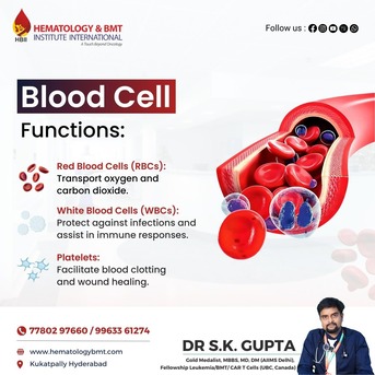 Hyderabad, Health, Red Blood Cells &ndash; Importance, Function, And Disorders By Dr. S K Guptha