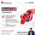 Red Blood Cells &ndash; Importance, Function, And Disorders By Dr. S K Guptha
