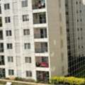 Pigeon Safety Nets Installation In Chennai